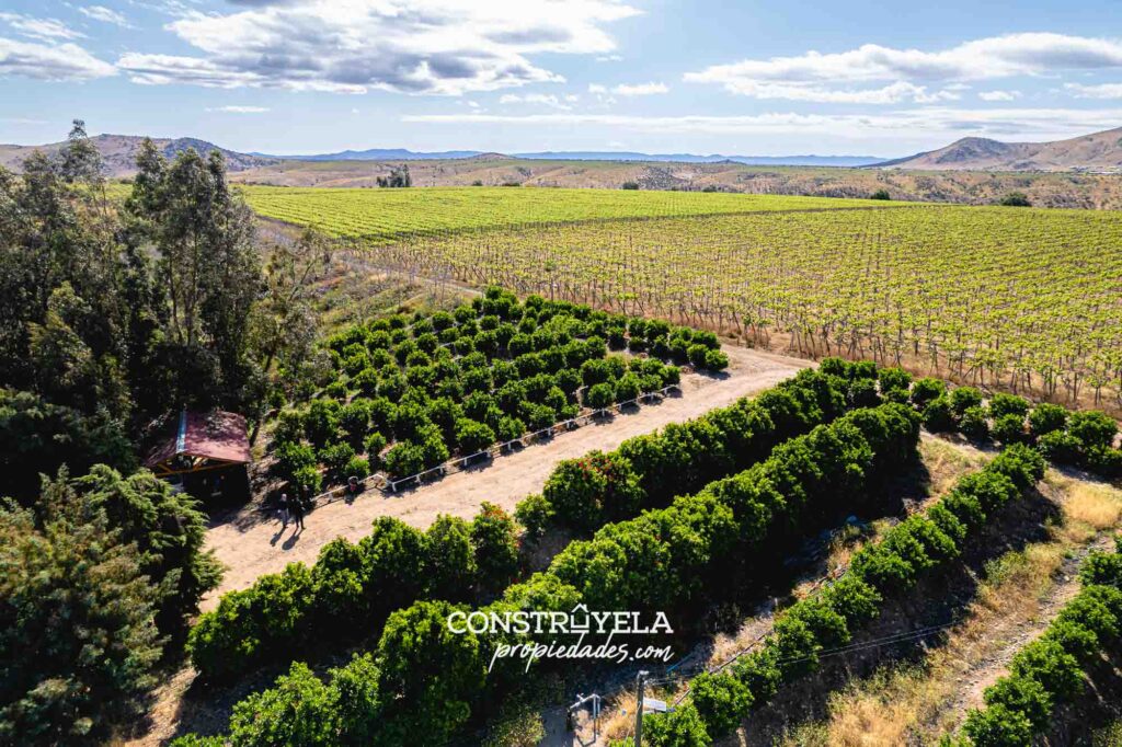 Se vende espectacular parcela de 10.59 hectáreas en el sector de Camino a Camarico, Ovalle. | Construyela Propiedades, Ovalle