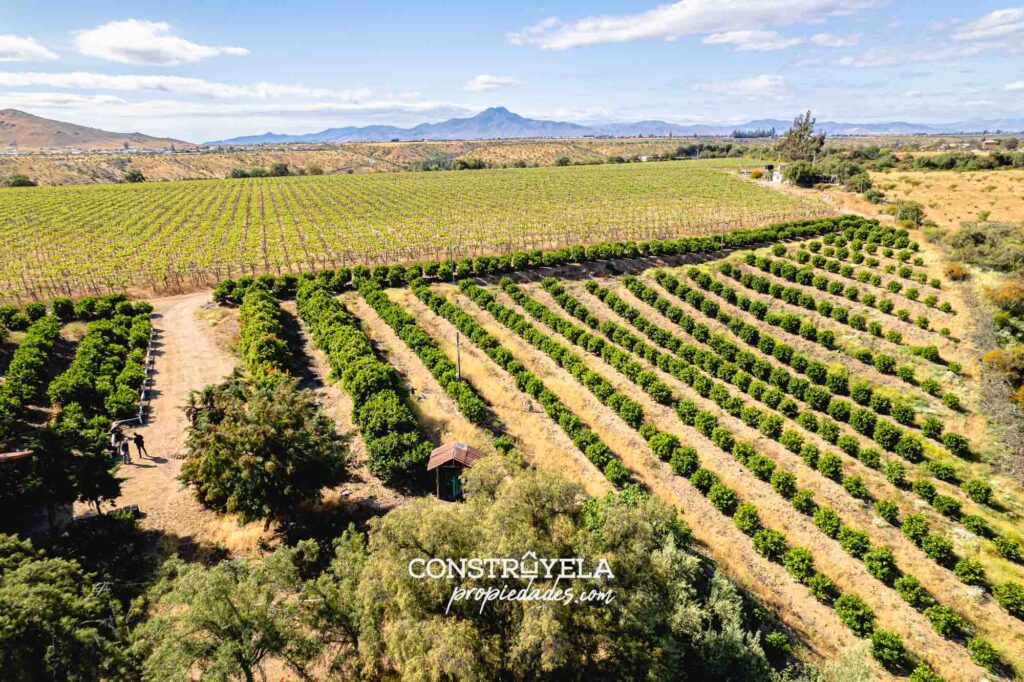 Se vende espectacular parcela de 10.59 hectáreas en el sector de Camino a Camarico, Ovalle. | Construyela Propiedades, Ovalle