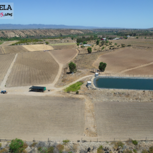 Campo agrícola en venta en Quebrada Seca – cercano a Hacienda Santa Cristina, Ovalle