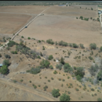 Gemini_Generated_Image_jbfgsgjbfgsgjbfg