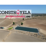 Gemini_Generated_Image_vebhlyvebhlyvebh