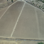 parcela 46 oscar bugueño