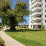 Gemini_Generated_Image_aeypa3aeypa3aeyp (6)