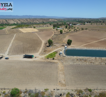 Gemini_Generated_Image_gj3xasgj3xasgj3x